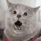 omg voice changer