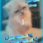 streaming mic voice changer