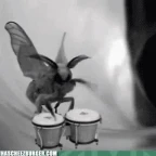 Moth IN the VORTEX voice changer