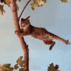 hurricane voice changer