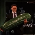 Zucchina voice changer