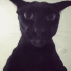 EVIL LARRY voice changer