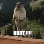 kurt voice changer