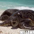 Turtle Beach Turtle voice changer