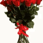 flowers voice changer