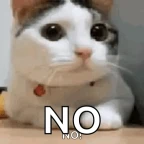 no pls voice changer