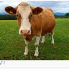 sigma mommy voice voice changer