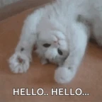 hellllo voice changer