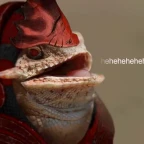 Krogan voice changer