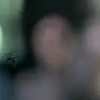 the mosquito in your ear voice changer