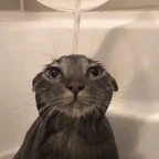 Beanage voice changer