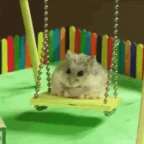 hamster voice changer