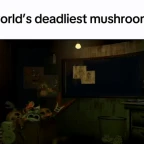 Withered chica 3 voice changer