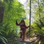 sasquatch voice changer