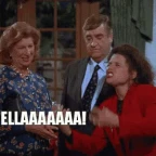 stella voice changer