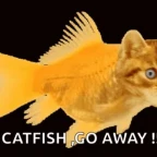 catfish cat voice changer