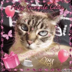 ervreve voice changer