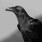 "The Diviner's Madness" voice changer