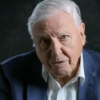 David Attenborough voice changer