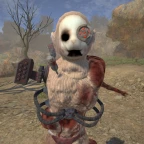 Ranger Newborn voice changer