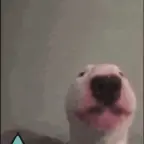 Guardian voice changer