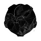 Warden voice changer