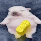 Pibble voice changer