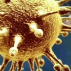 bacteria voice changer