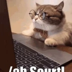 Ah sla voice changer