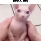 Phage F voice changer