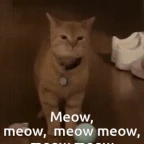 meow meow voice changer