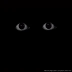 creepy i thing voice changer