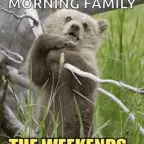 The Herald voice changer