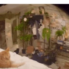 edited voice changer