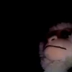 Owl Monkey voice changer