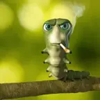 loud cheap mic voice changer