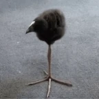 high pitch voice changer