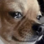 Trying my best (dude) voice changer