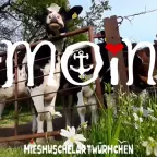 wdwedwe voice changer