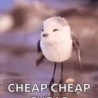 cheapo voice changer