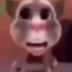 Talking Tom (Flynn Paff) voice changer