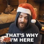 voice of reson voice changer