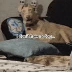 Skinwalker voice changer