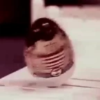 Weeble voice changer