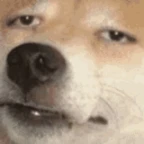 Bitcrusher voice changer