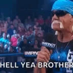 big armor voice changer