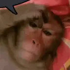 Dark Monkey Voice Changer voice changer