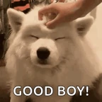 good boy voice changer