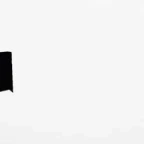 regect voice changer