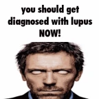 a dude voice changer